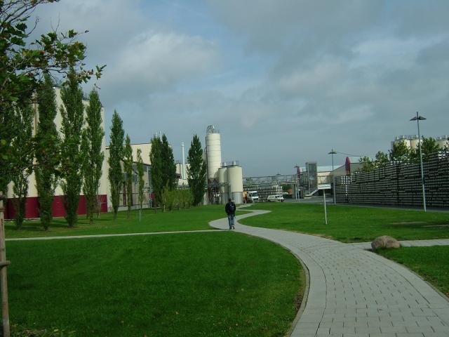 DSCF1274