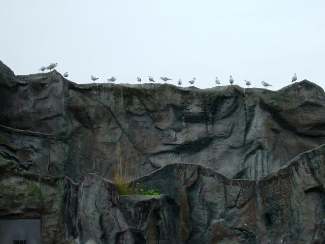 DSCF1548