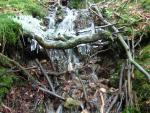 DSCF2177