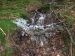 DSCF2179