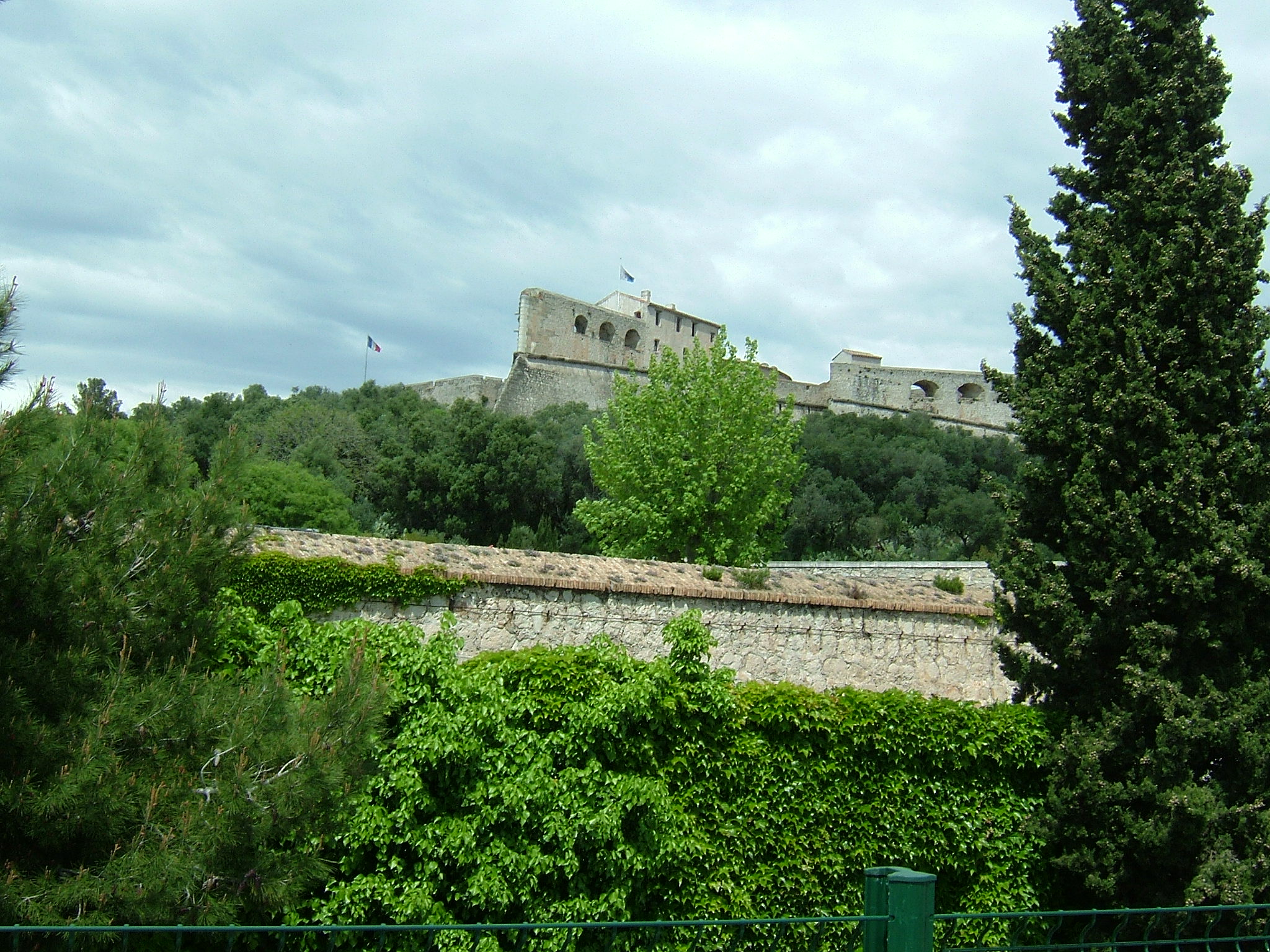 DSCF4116