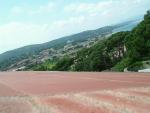 DSCF4293